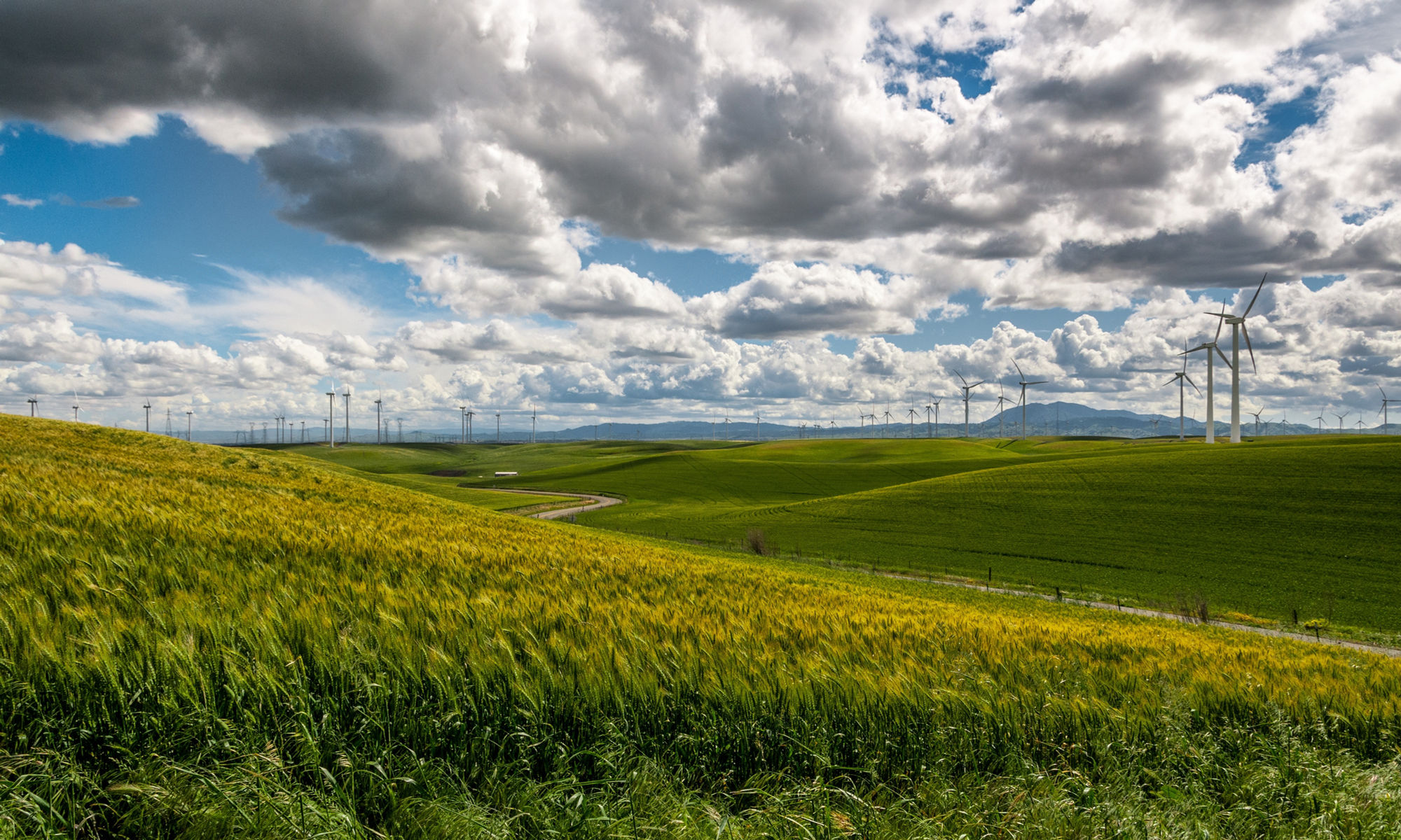 Wind farm aerial view